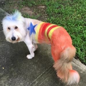 Meet your Posher, Pam